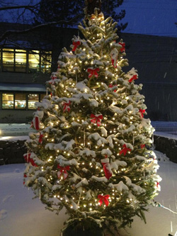 Decorated tree